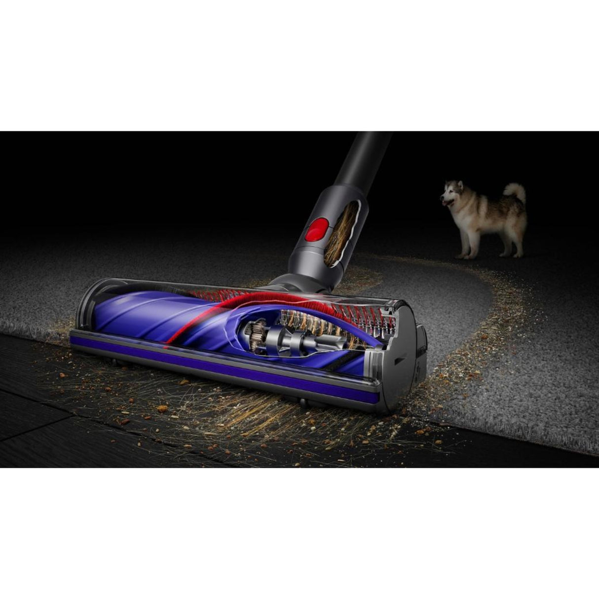 Dyson%20V8%20Vacuum%20Cleanerq