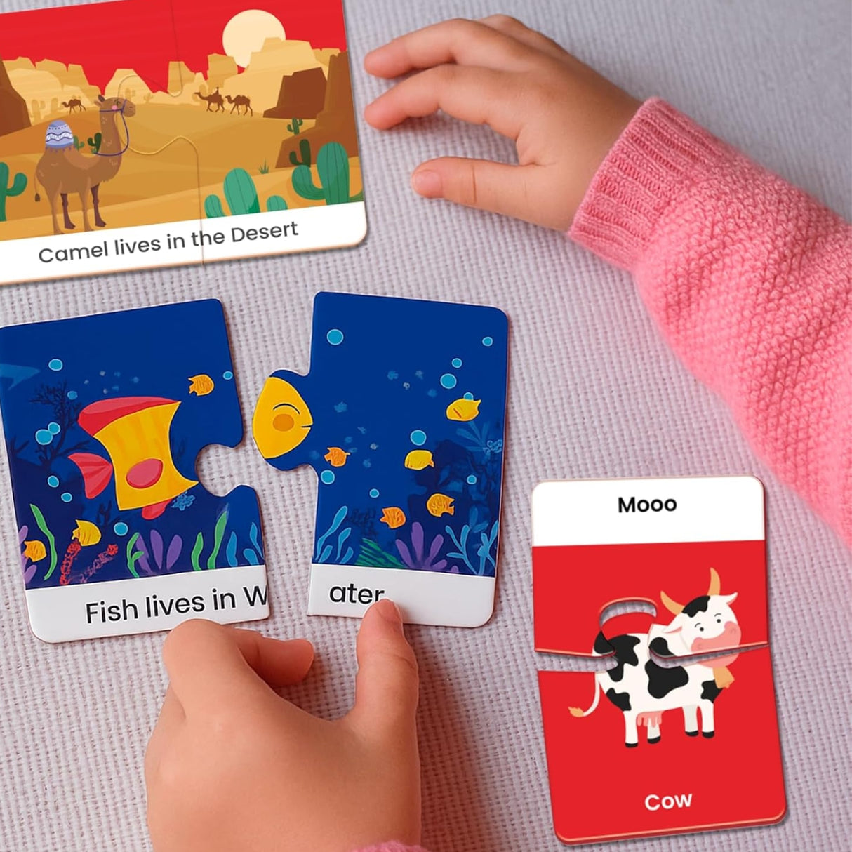 Funskool 2 In 1 Combo Animal Homes and Sounds_7