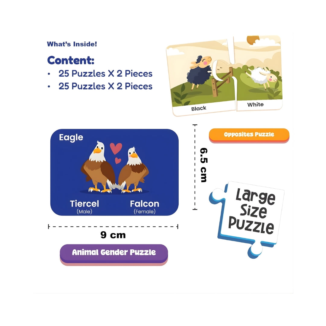Funskool 2 In 1 Combo Genders and Opposites-6