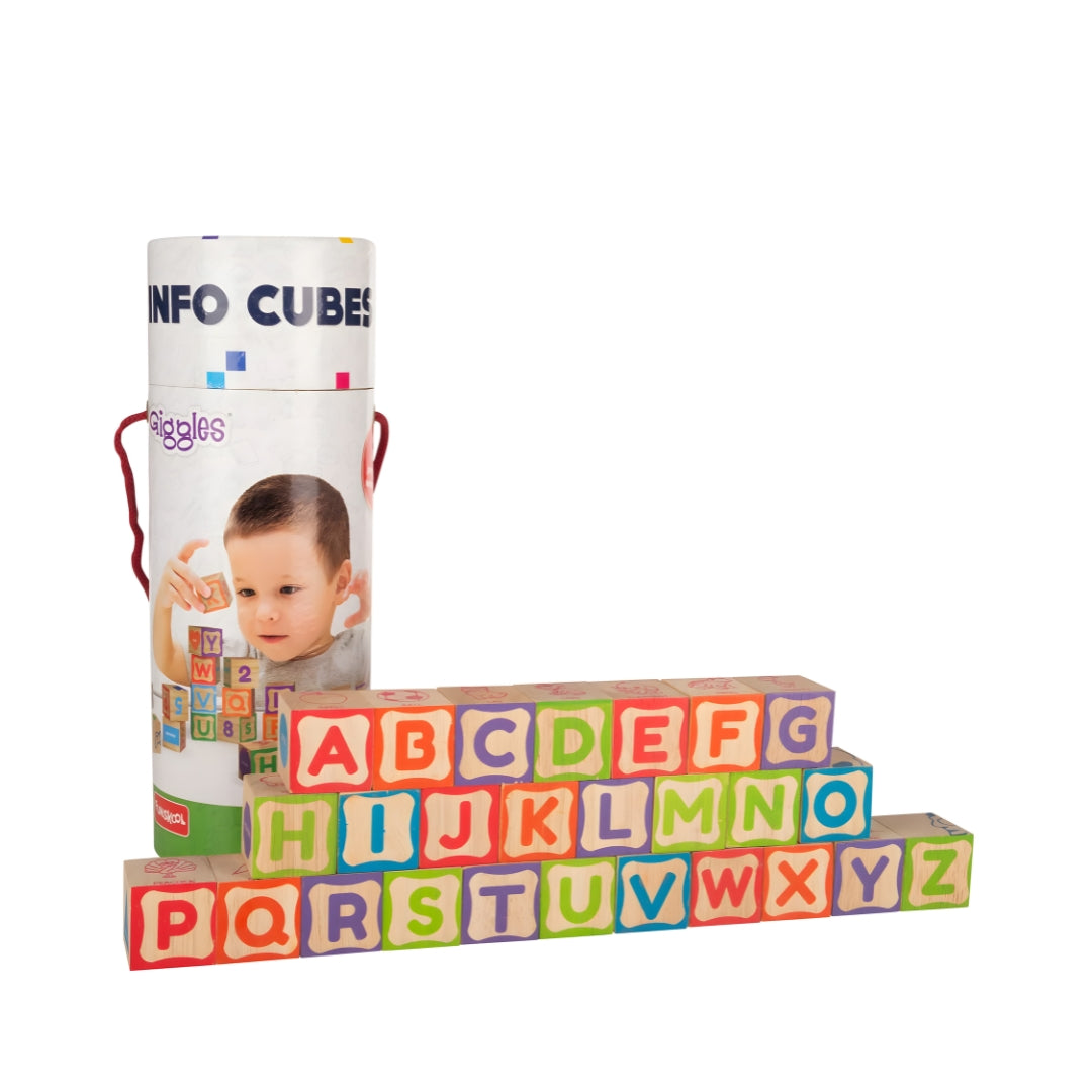 Funskool Giggles Info Cubes_07