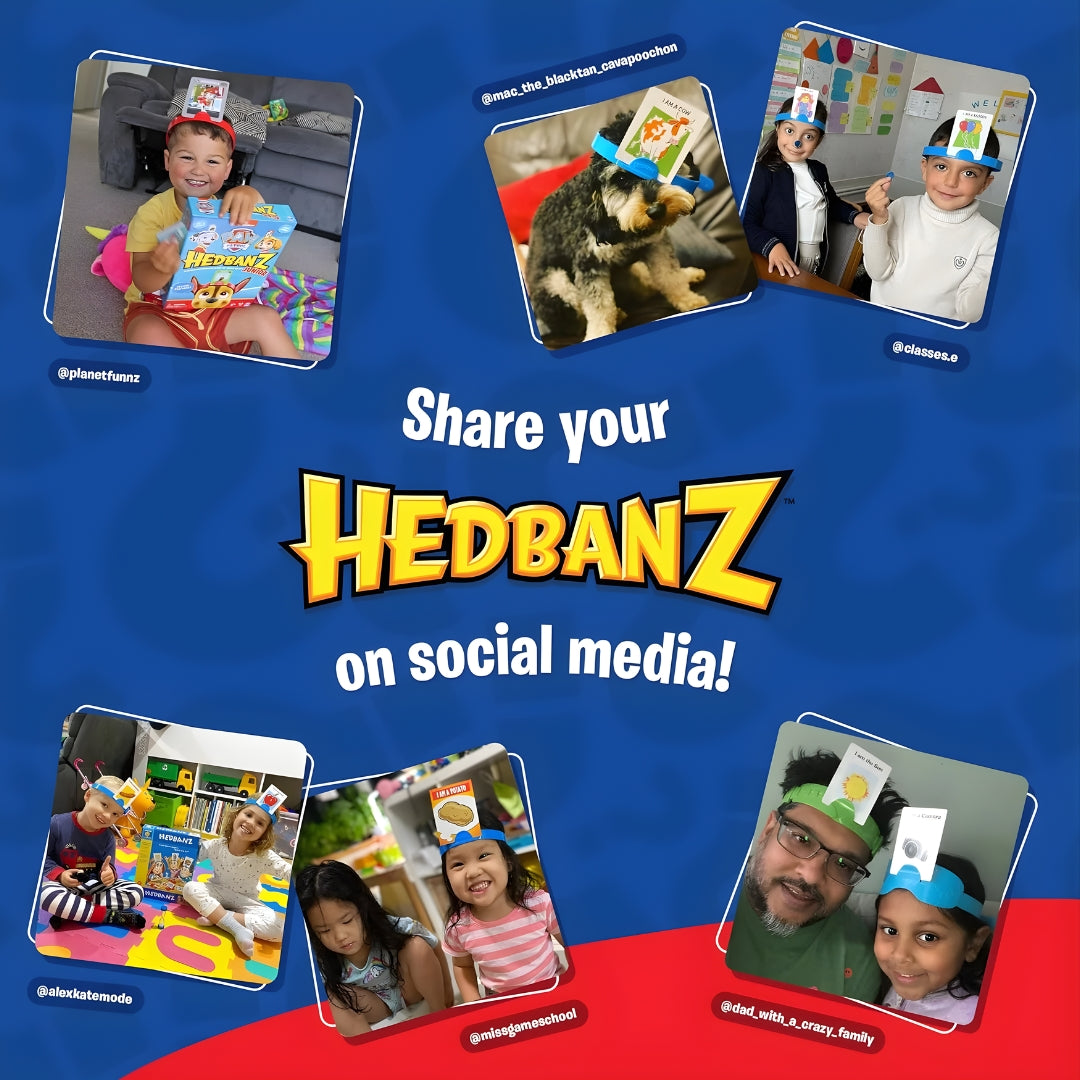Funskool Hedbanz Games_11