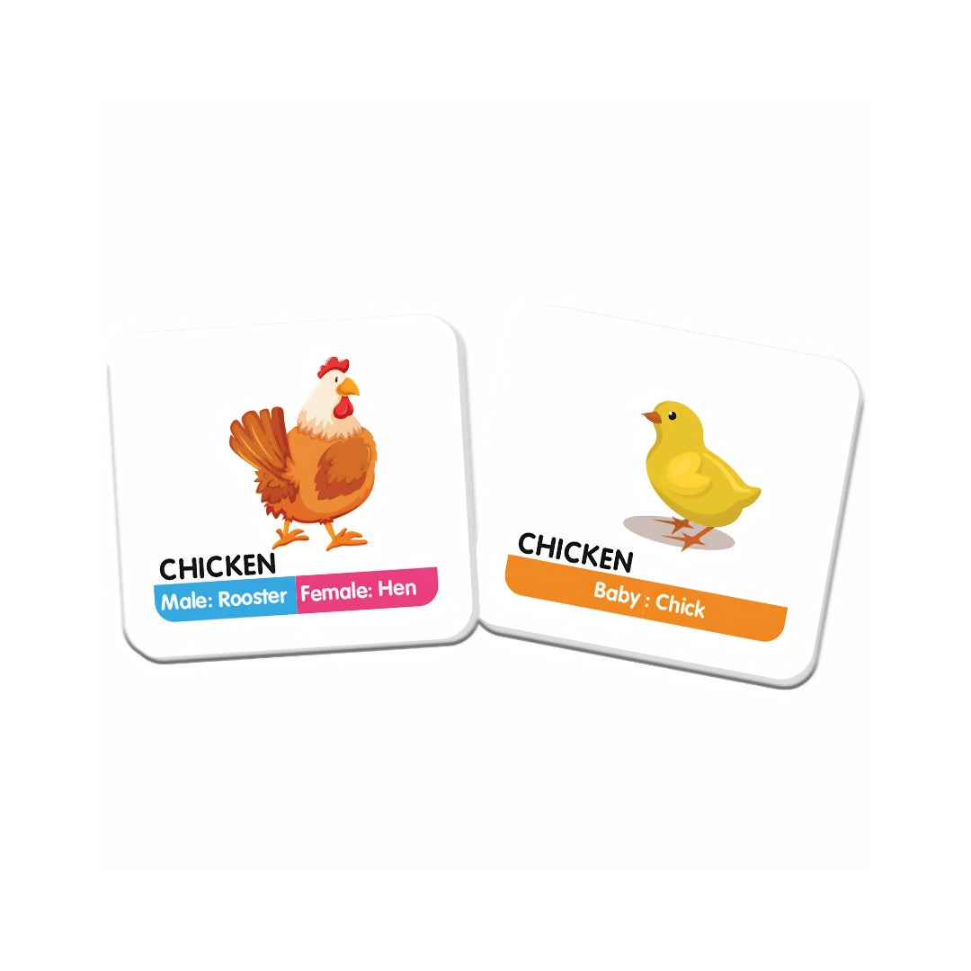 Funskool Ravensburger Memory Animal Family_03
