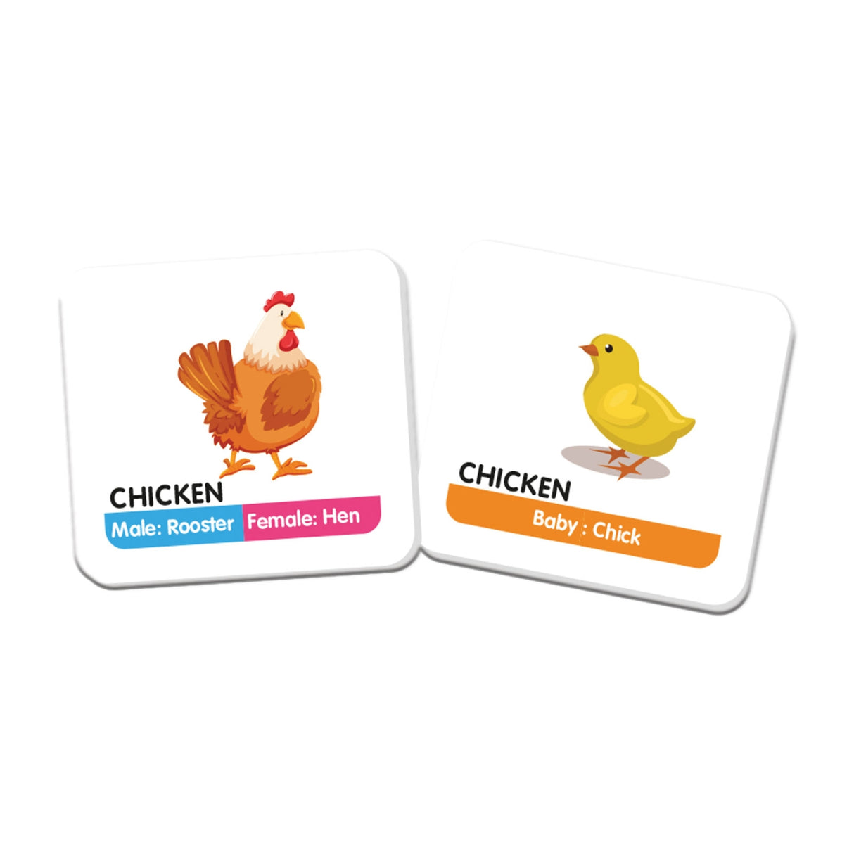 Funskool Ravensburger Memory Animal Family_4