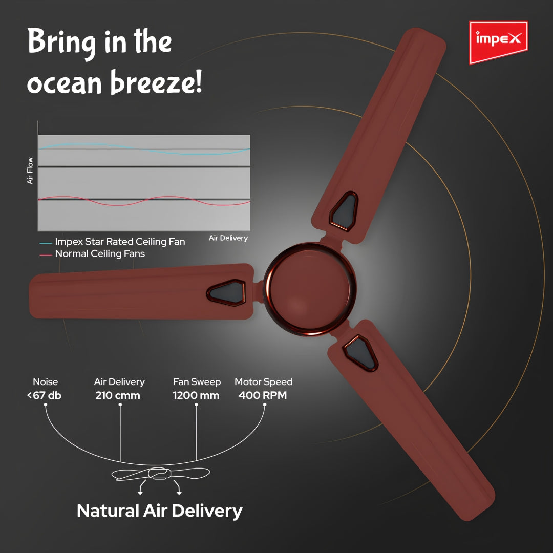 IMPEX Ceiling Fan (WHIZSTAR MATTE BROWN) -FG21614
