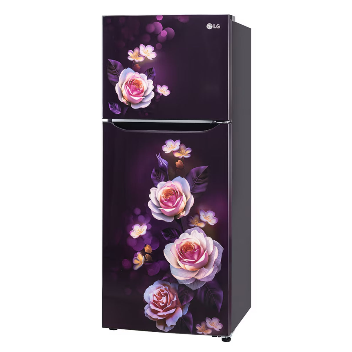 LG GL-N292DPBY Smart Inverter Compressor 242 L Frost-Free Double Door Refrigerator – Purple Bloom_11