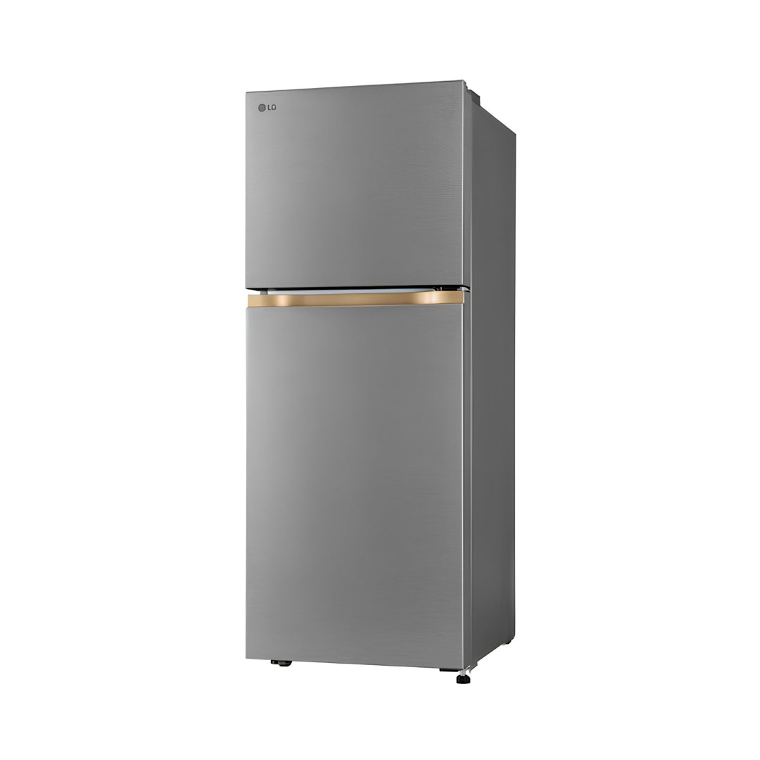 LG GLT2216WYDS Double Door Refrigerator 225 L - Dazzle Steel_3
