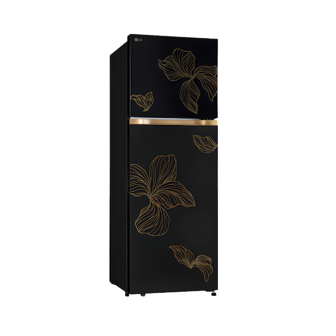 LG GLT2516WXRO Double Door Refrigerator 251 L - Radiant Onyx_Left View