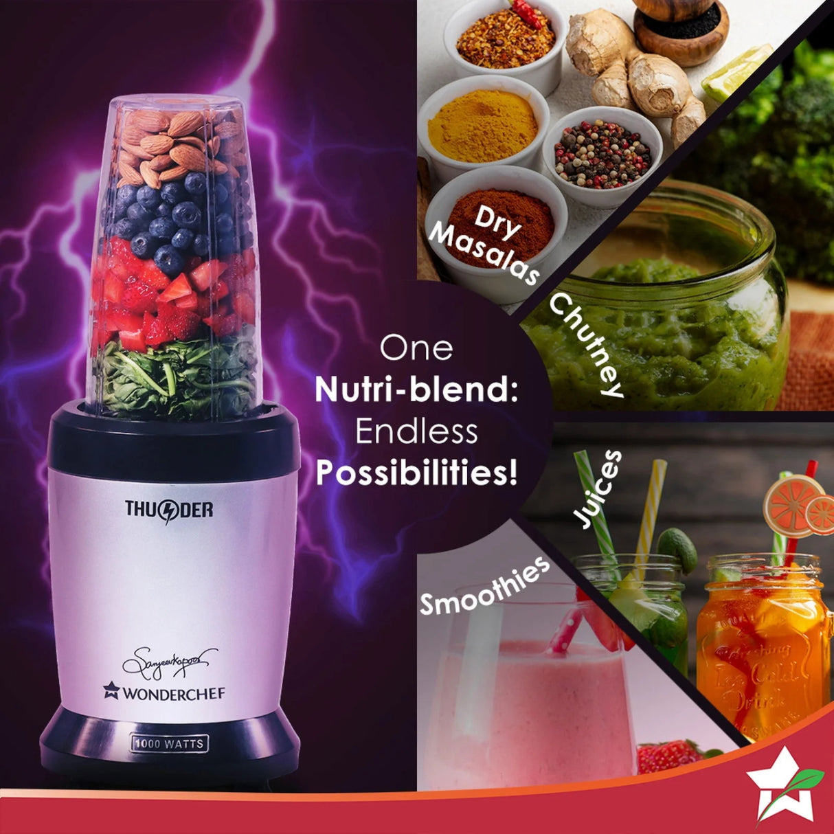 Wonderchef 63153689 Nutri-Blend Mixer Grinder 1000 Watts – Grey_3
