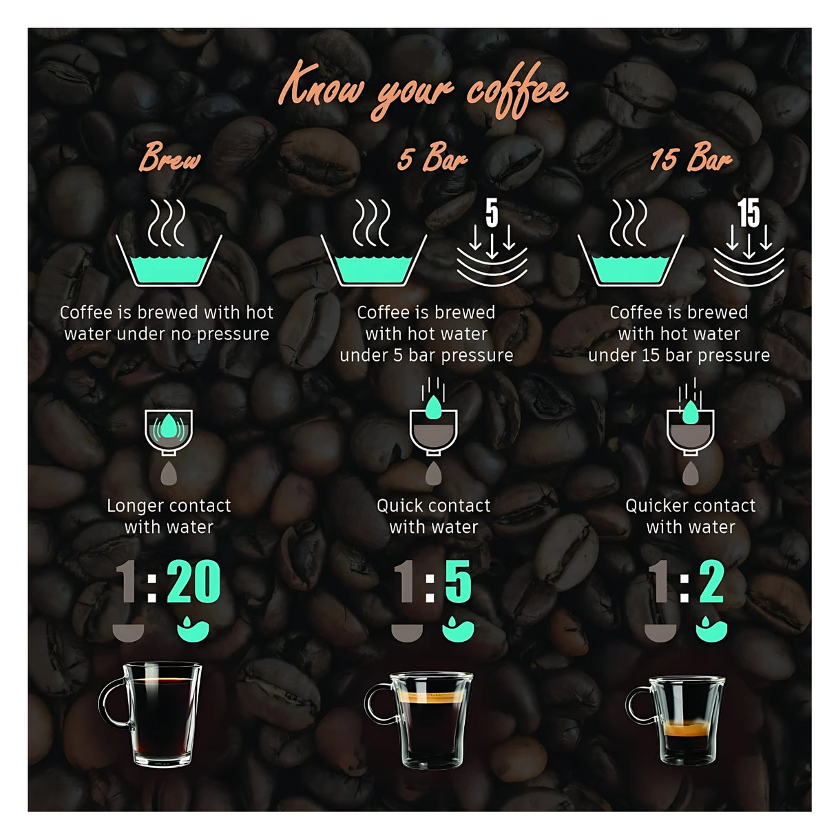 Wonderchef Regalia Brew Pronto Coffee Machine 750 ml - Black_6