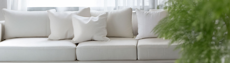 Cushion Inserts