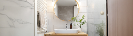 Storage & Mirrors