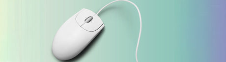 Computer Mouse