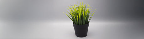 Artifical Plants