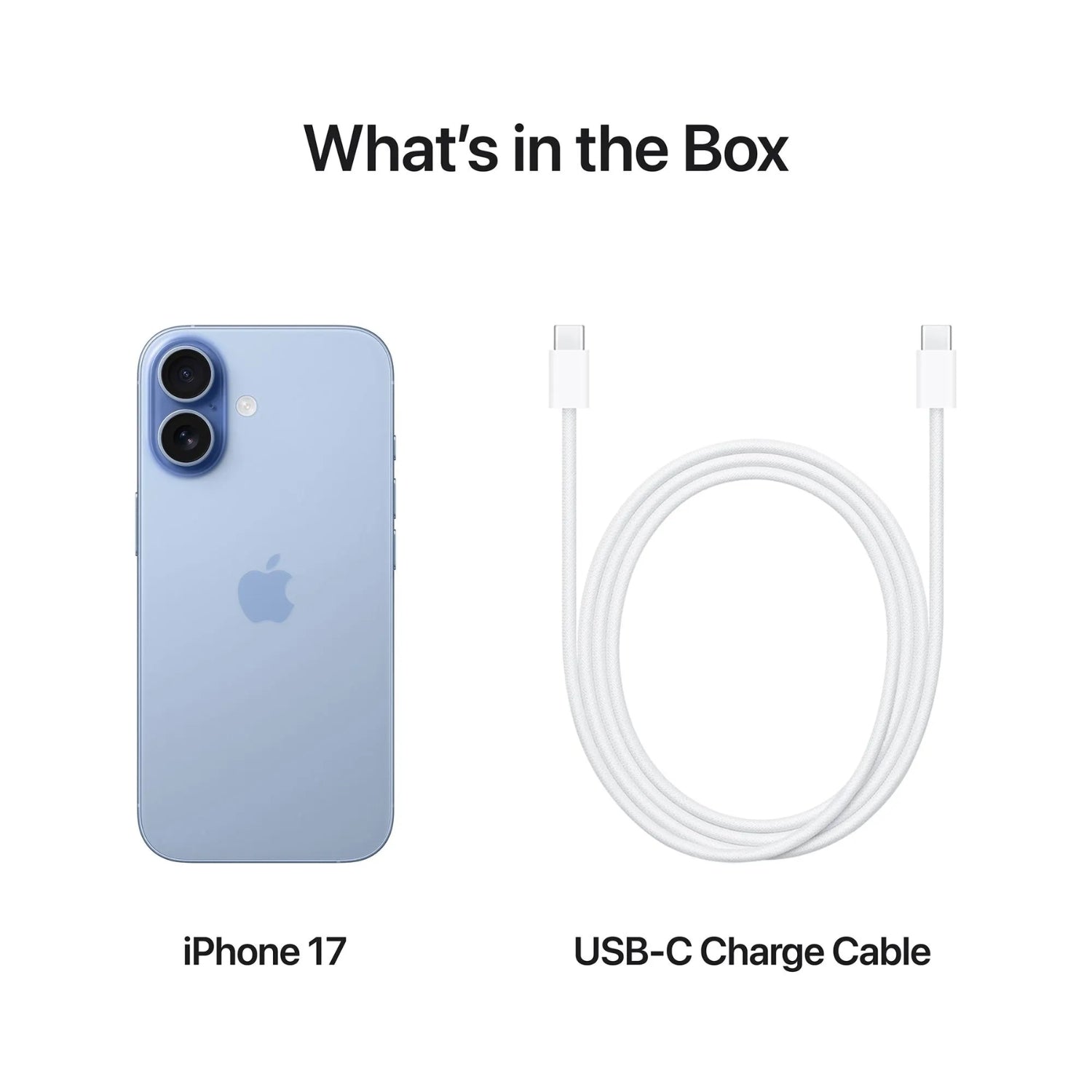 Apple iPhone 17 5G (256GB, Mist Blue)_8