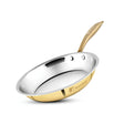 Bergner Peetlam Kalai Brass Coated Fry Pan 24 cm _ 1 L - Golden Yellow_1