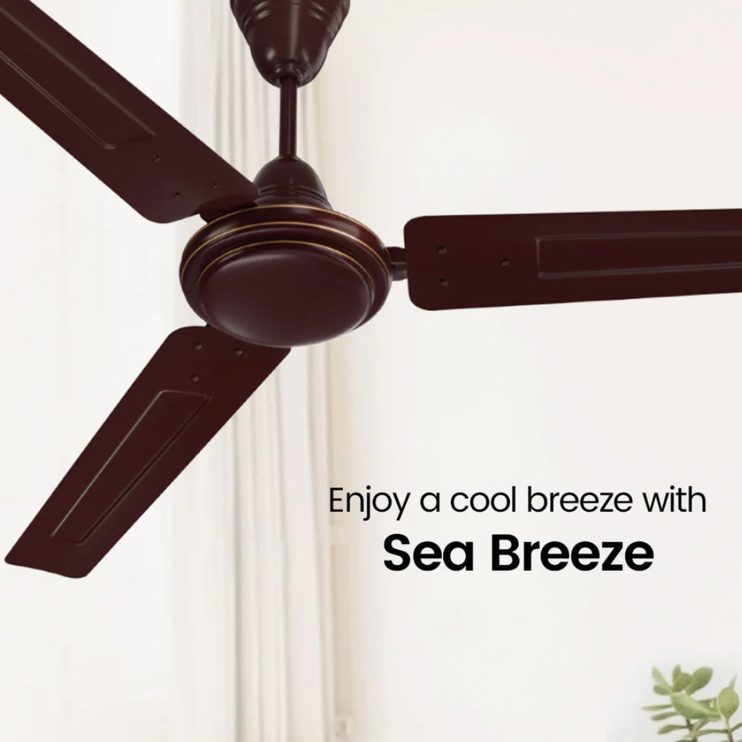 CROMPTON SEA BREEZE BROWN CEILING FAN 1200 MM2