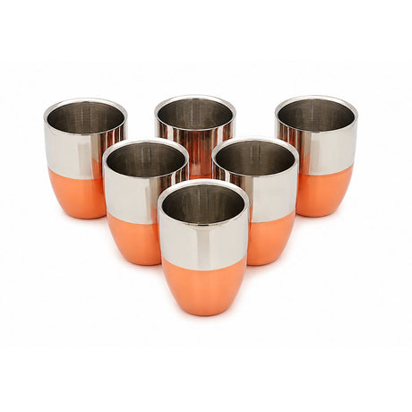 Coconut Stainless Steel Copper Finish Double Wall Water Glass Set of 6_Glass Over All View