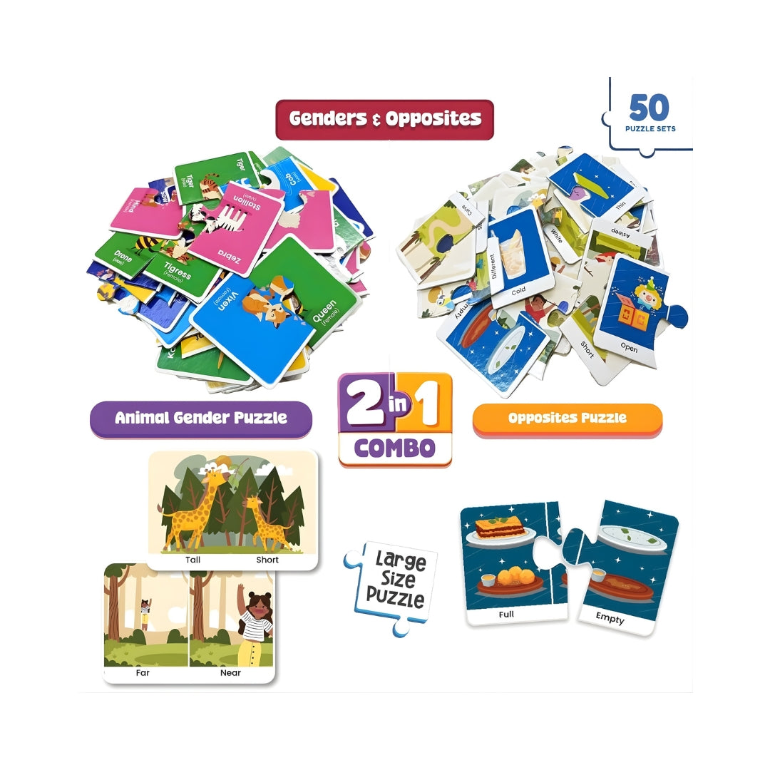 Funskool 2 In 1 Combo Genders and Opposites-5
