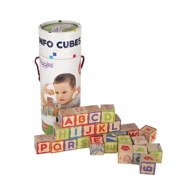 Funskool Giggles Info Cubes_01