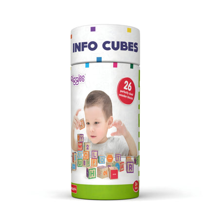 Funskool Giggles Info Cubes_02