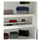 Godrej Aceline Full Locker 2-Door Steel Wardrobe - Textured Magic Purple