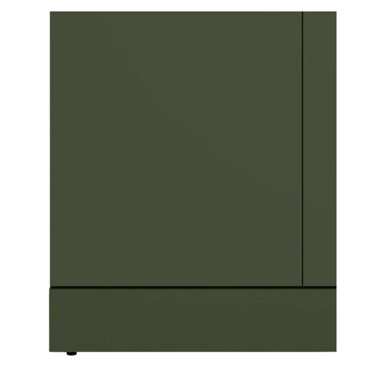 Godrej Auraline Men Basic 2-Door Steel Wardrobe - Matte Tree Mist