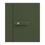 Godrej Auraline Men Basic 2-Door Steel Wardrobe - Matte Tree Mist