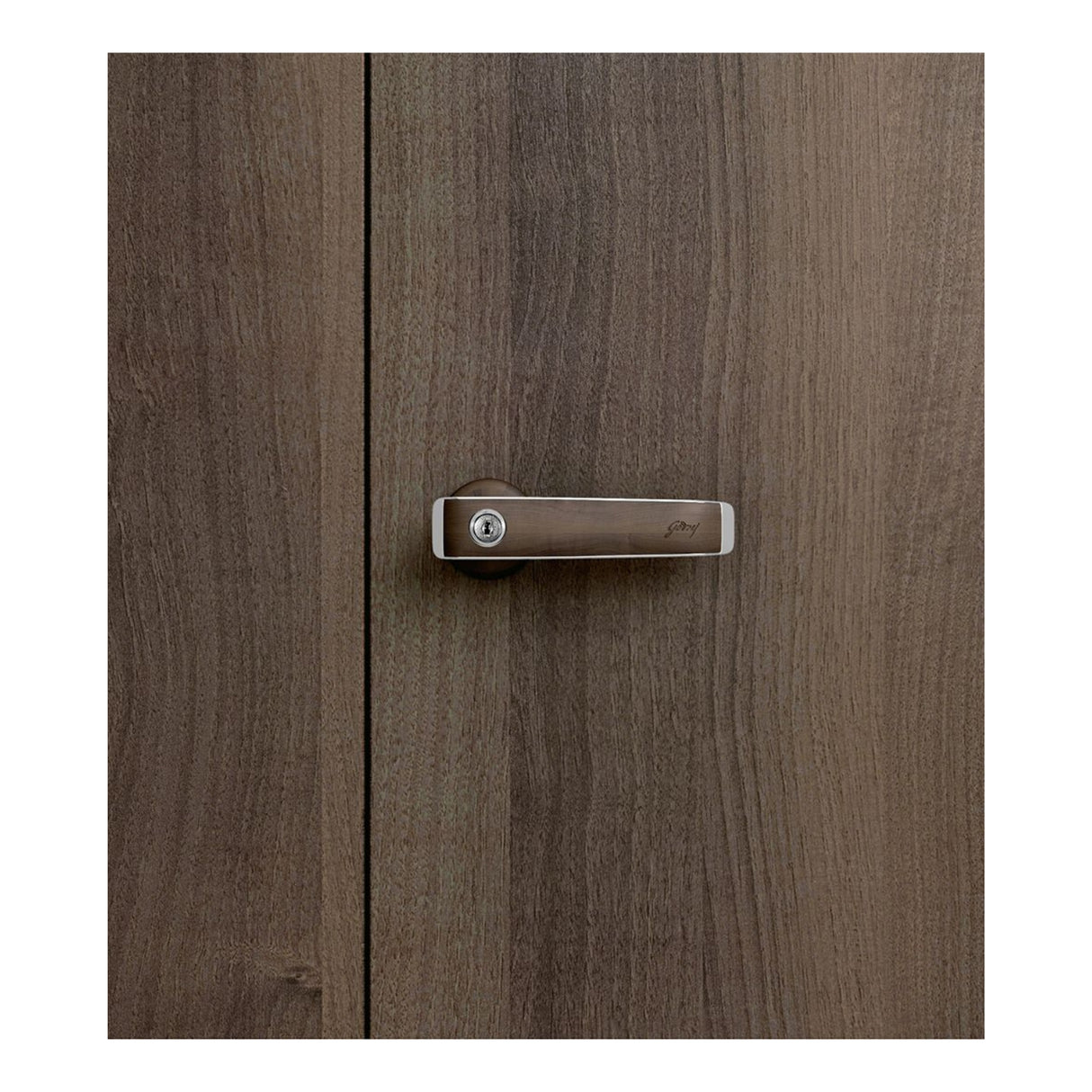 Godrej Auraline Women Basic 2-Door Steel Wardrobe - Walnut