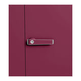 Godrej Auraline Women Premium 2-Door Steel Wardrobe - Textured Berry