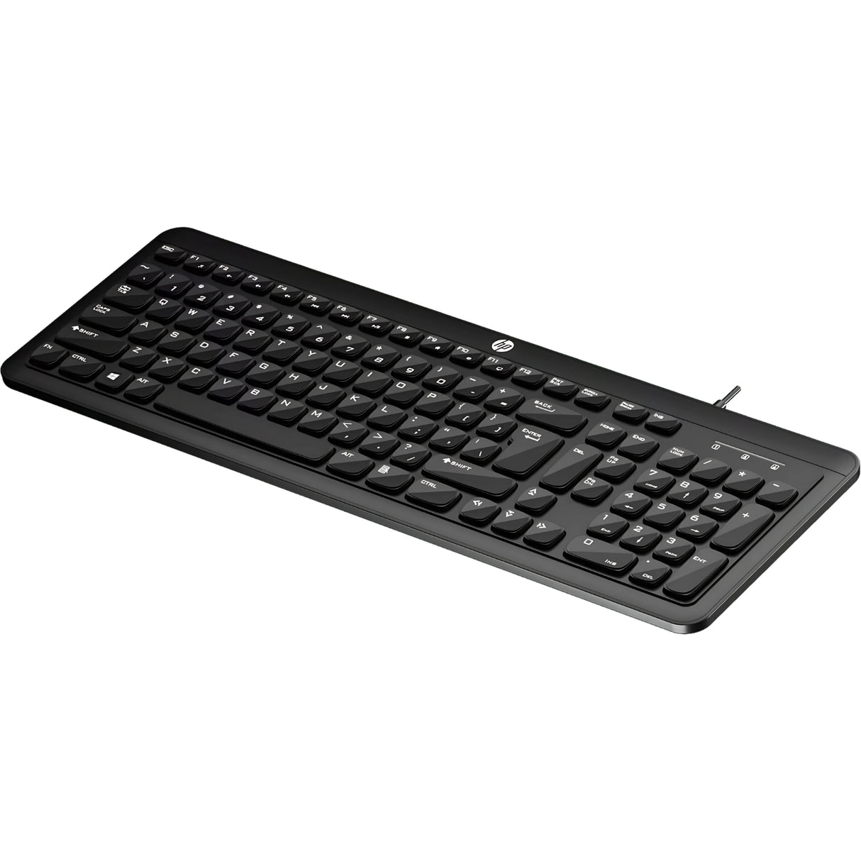HP K160 Wired Keyboard - Black