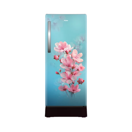 Haier 190 L 2 Star Single Door Refrigerator  HRD-2112PTSA-N_Front view