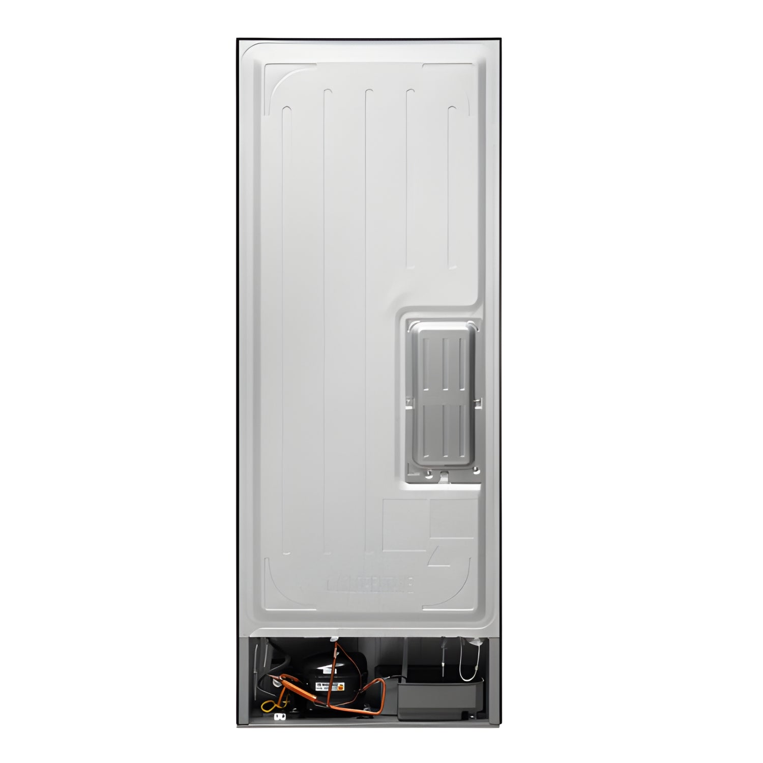 Haier HRB-4053BIS-P 355 L 3-Star Bottom-Mount Frost-Free Refrigerator – Inox Steel_4