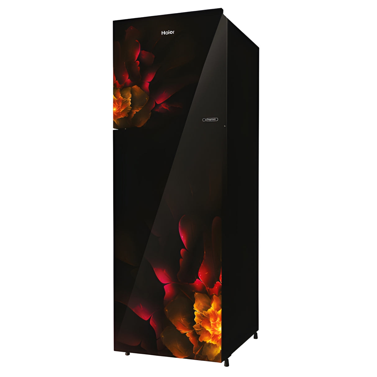 Haier HRF-2902PVG-P 240L 2-Star Frost-Free Double Door Refrigerator – Viona Glass_3