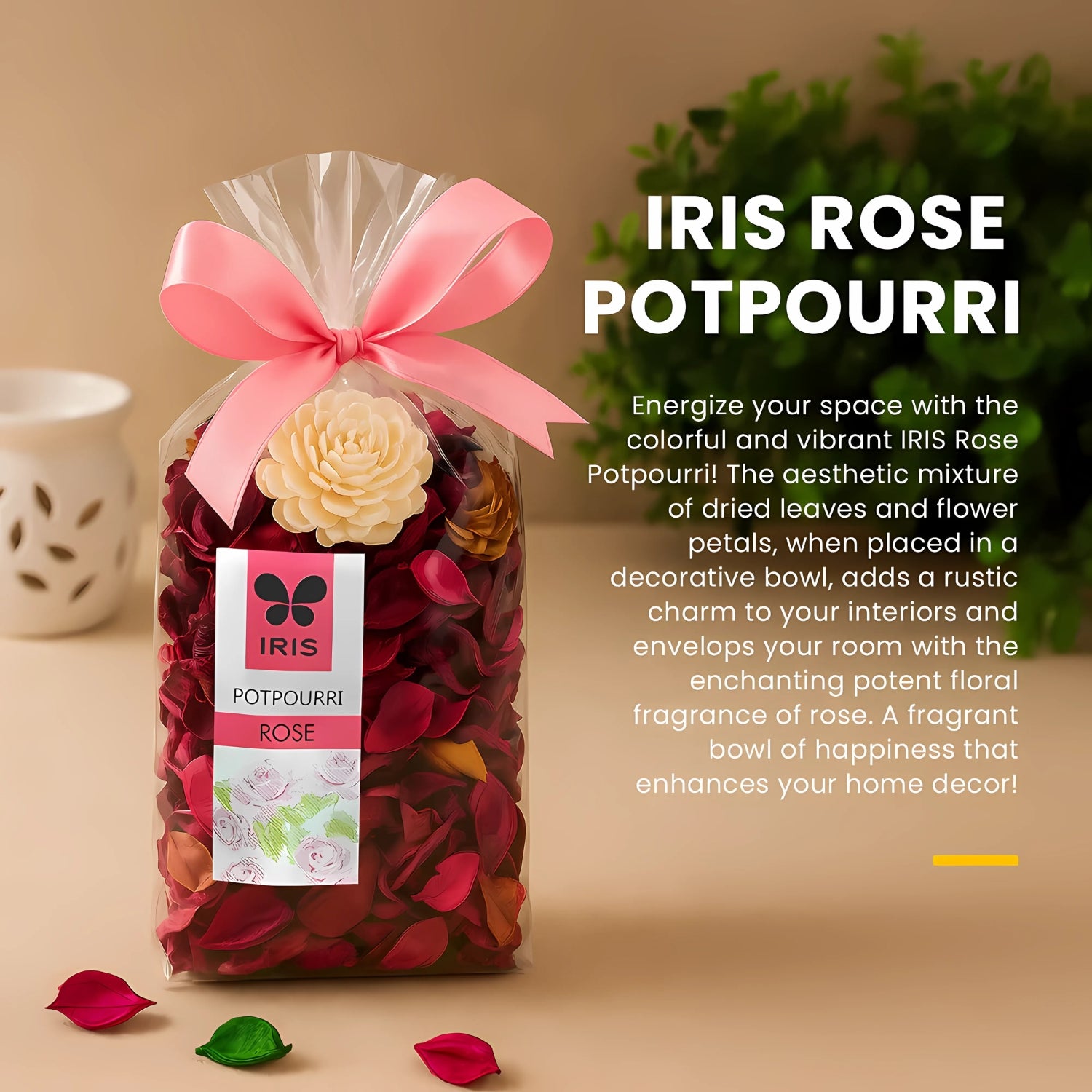 IRIS Potpourri - Rose_5