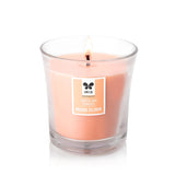 IRIS Taper Jar Candle - Musk Elixir