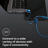 JBL T310C Wired Earphone - Blue