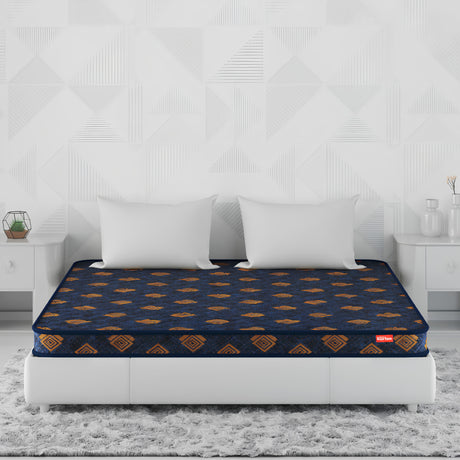 Kurlon Easy Star Foam Mattress_1