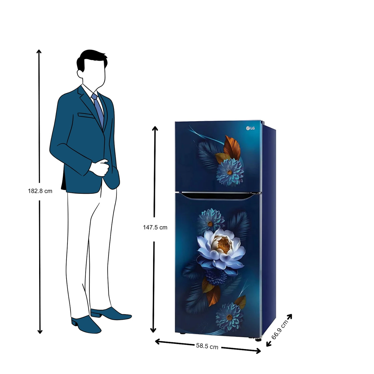 LG FF Refrigerator S292SBWY 240L - Crisper Blue