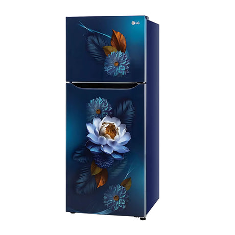 LG FF Refrigerator S292SBWY 240L - Crisper Blue