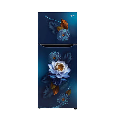 LG FF Refrigerator S292SBWY 240L - Crisper Blue_1