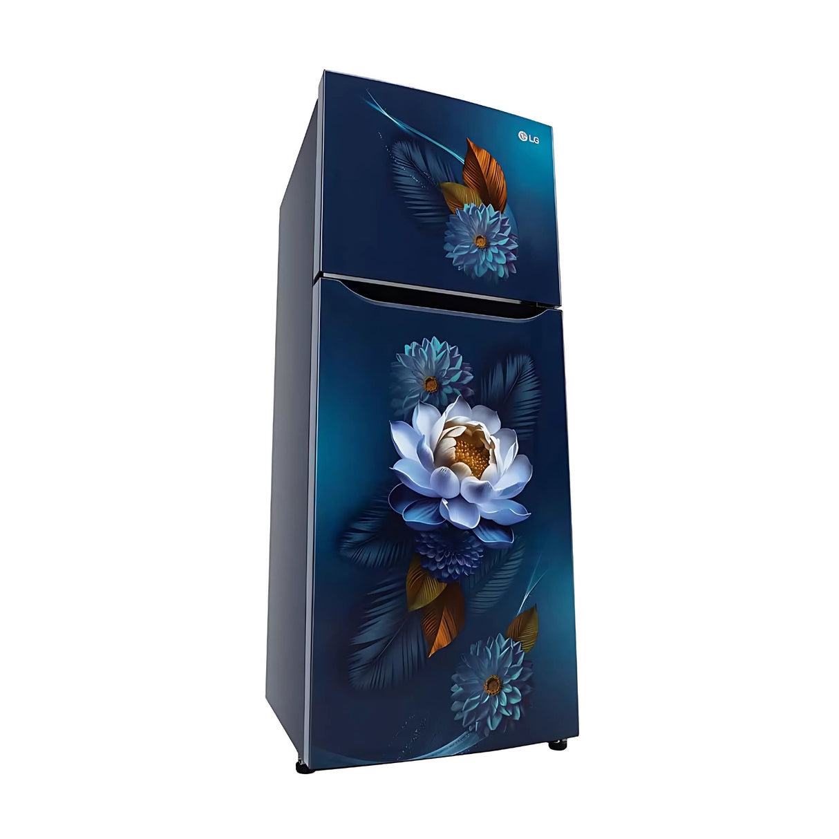 LG FF Refrigerator S292SBWY 240L - Crisper Blue_3