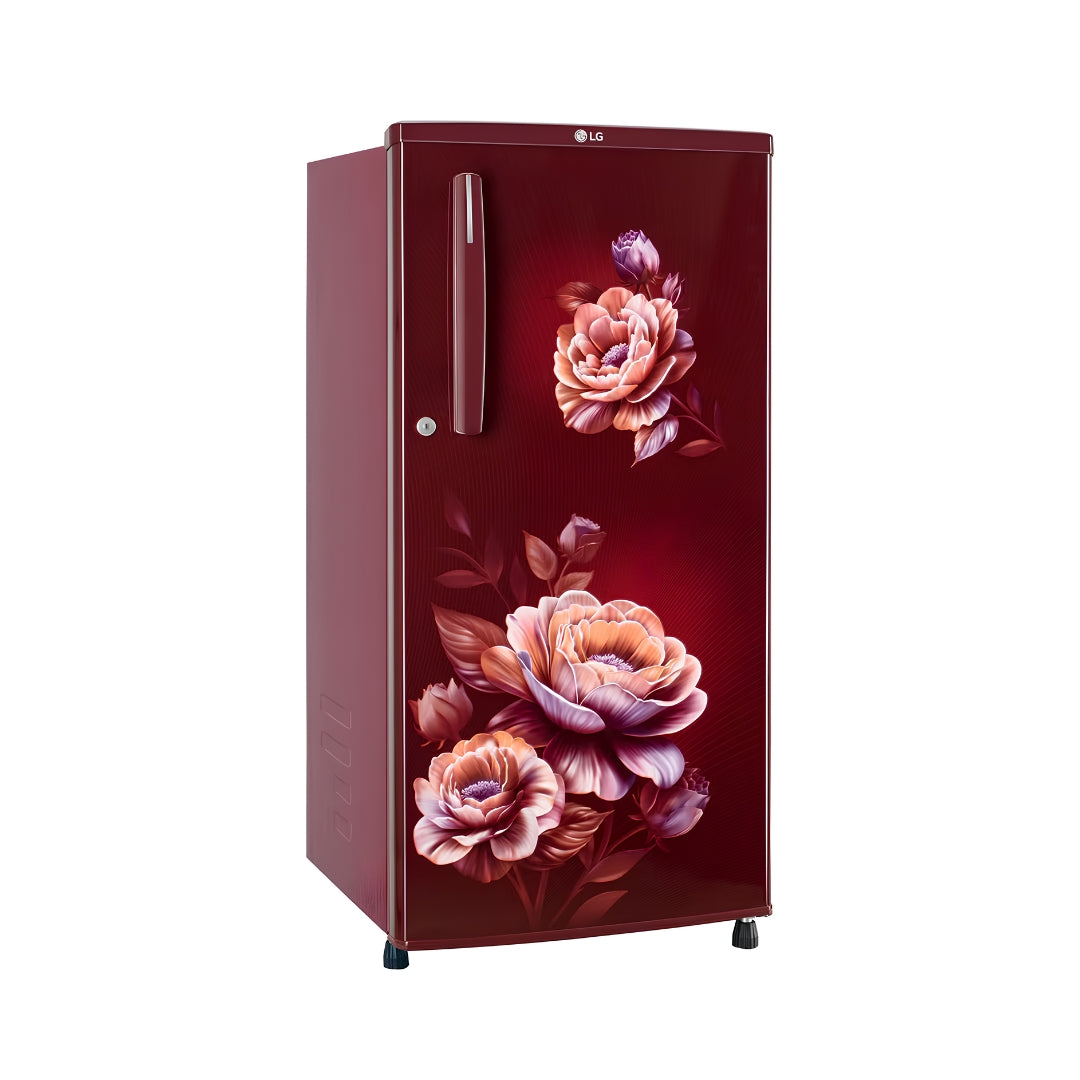 LG GLD1816WOWR Single Door Refrigerator 215 L - Wine Rose_Right View