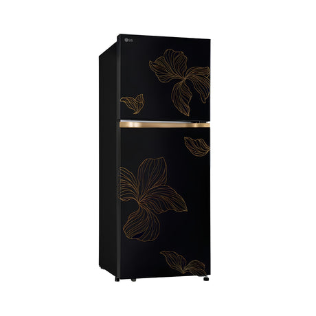 LG GLT2216WYRO Double Door Refrigerator 225 L Left View_2