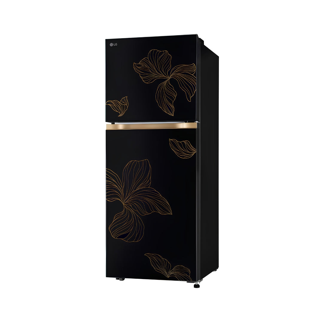 LG GLT2216WYRO Double Door Refrigerator 225 L Right View_3