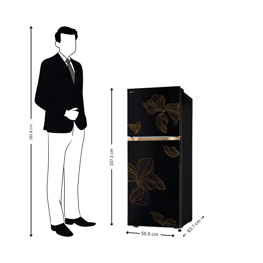 LG GLT2516WXRO Double Door Refrigerator 251 L - Radiant Onyx