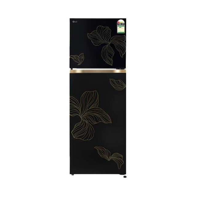 LG GLT2516WXRO Double Door Refrigerator 251 L - Radiant Onyx_Front View