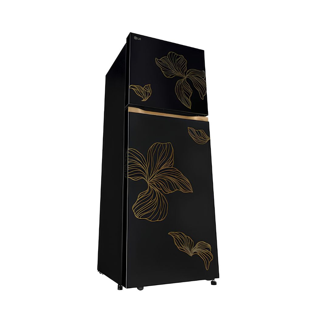 LG GLT2516WXRO Double Door Refrigerator 251 L - Radiant Onyx_Over all View