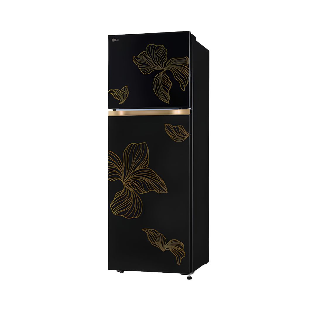 LG GLT2516WXRO Double Door Refrigerator 251 L - Radiant Onyx_Rigth View