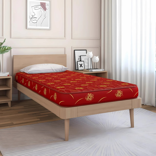 Nilakamal Pure Foam Mattress_1