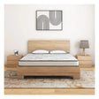 Nilkamal Ortho Bounce Foam Mattress_1